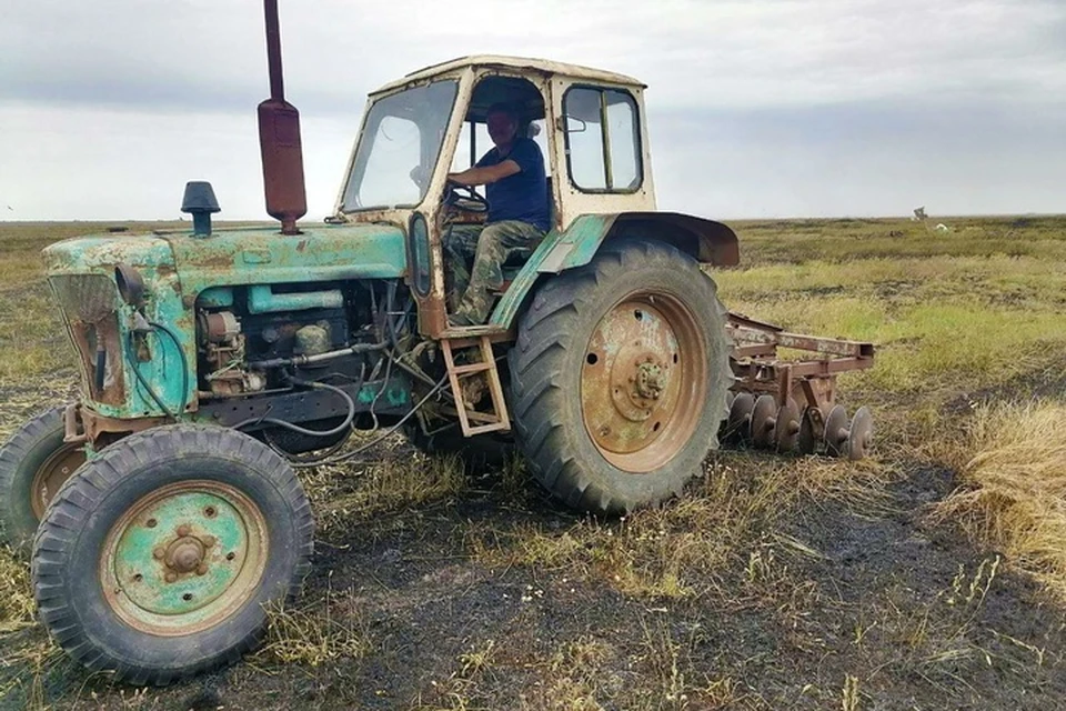 В Херсонской области произошел пожар в заповеднике. Фото: министерство природных ресурсов Херсонской области