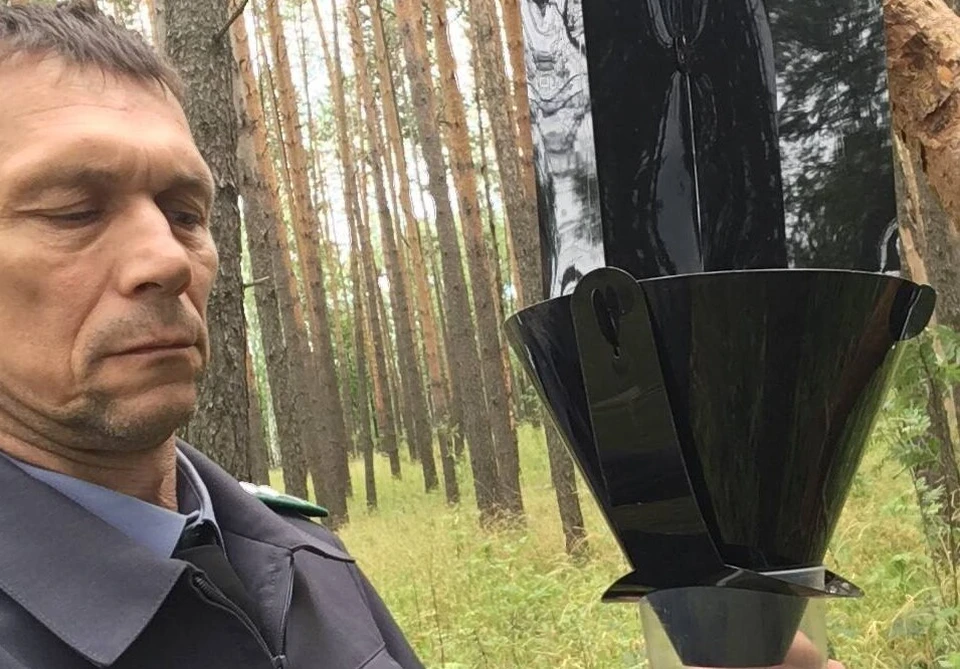 В Ульяновской области стартовало фитосанитарное обследование лесных зон