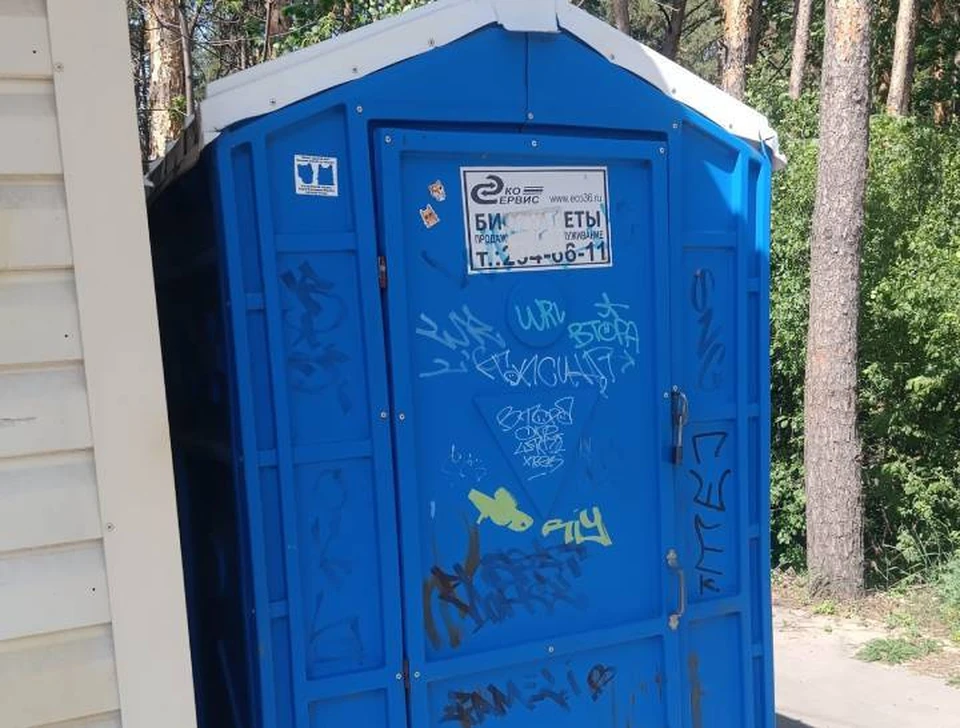 Биолетуалеты в Воронеже часто либо закрыты, либо в них можно входить, только заткнув нос.
