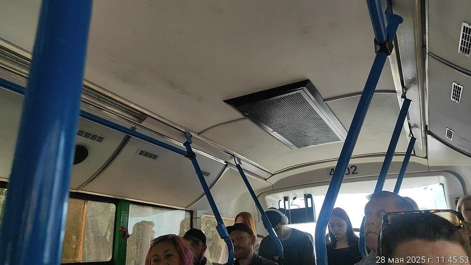 Грязь в автобусах была даже на потолке. Фото: миндортранс Челябинской области