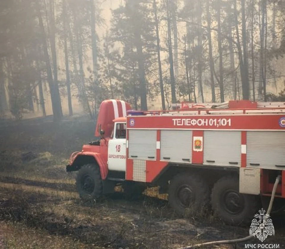 К тушению огня привлекли 43 единицы специализированной техники.
