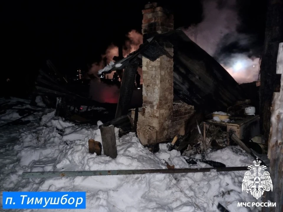 Для установления принадлежности костей человеку назначена экспертиза.