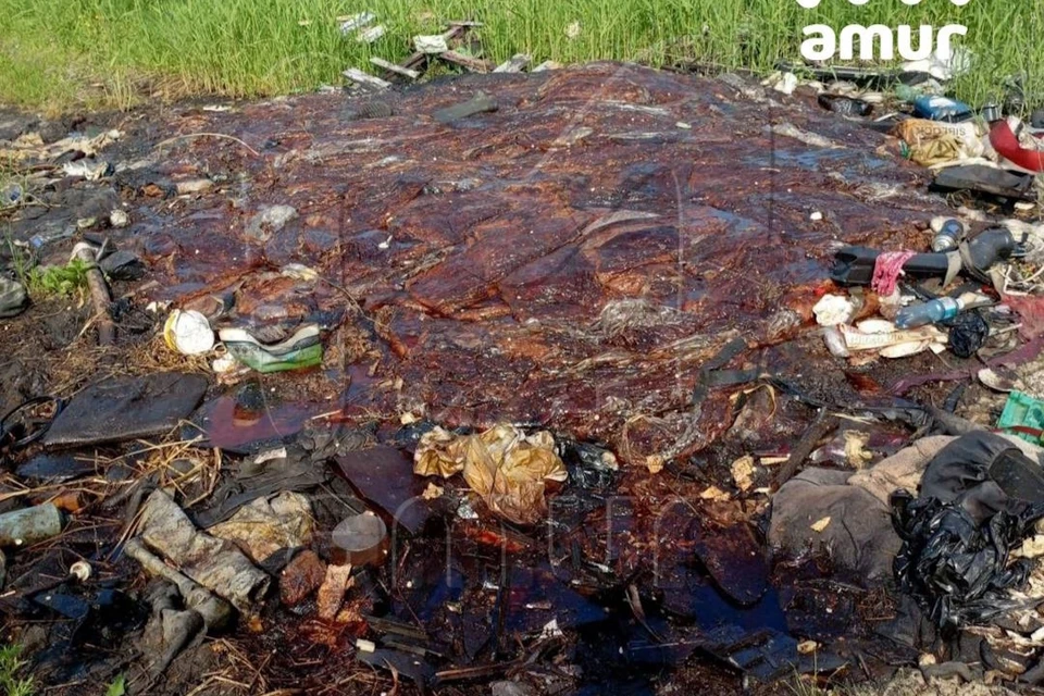Как сообщили очевидцы, от свалки исходил запах разложения. Фото: Amur.Mash.