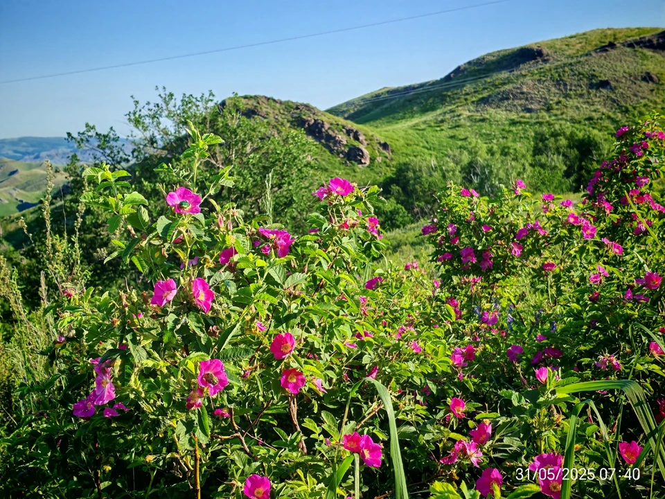 Фото сделано в Кувандыкском районе. Фото: «Погода и климат Оренбуржья»