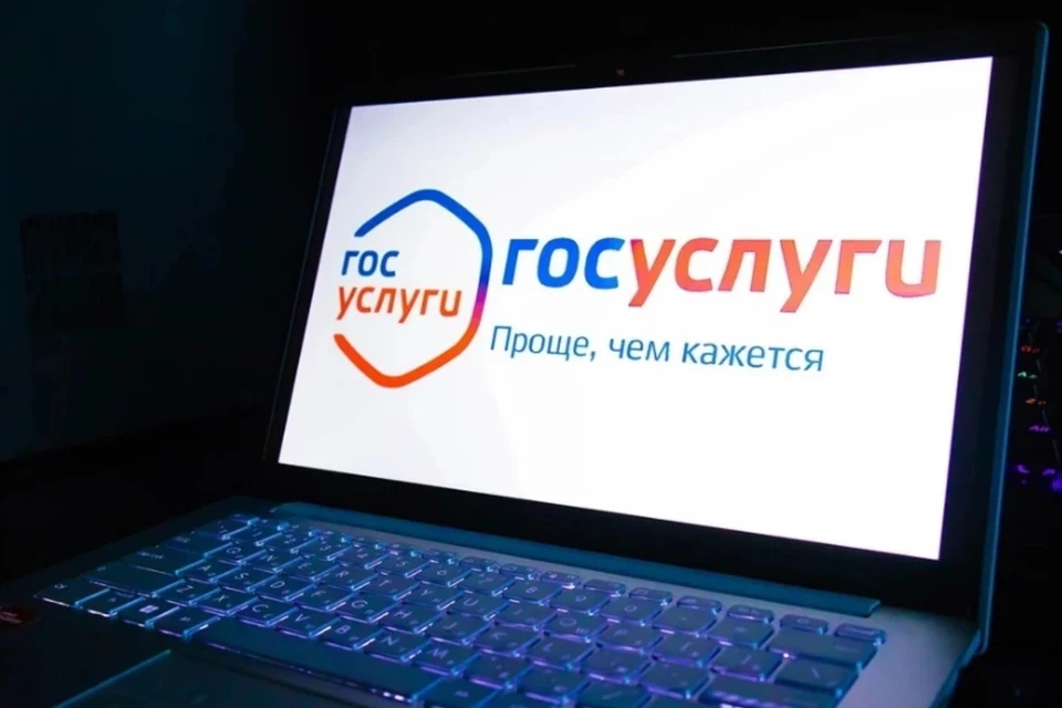 РИА Новости: в Госдуму внесут законопроект о кнопке безопасности на «Госуслугах»
