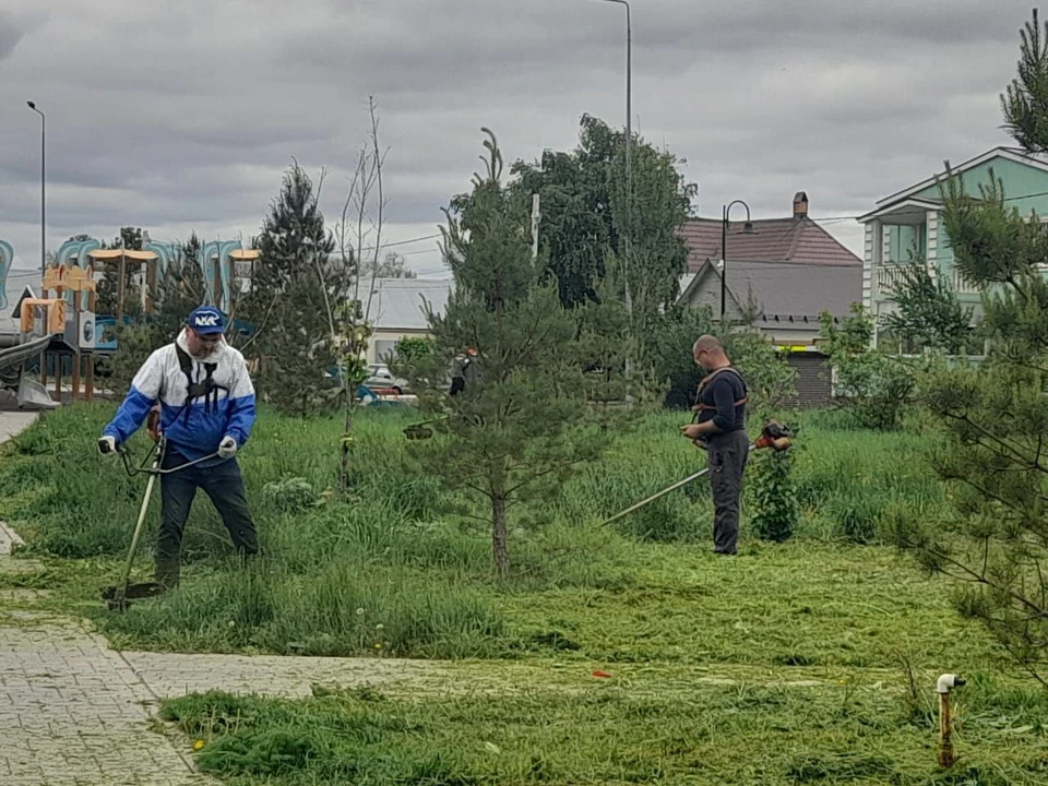 В ближайшее время первый этап покоса травы планируют завершить. Фото: Единая Россия.