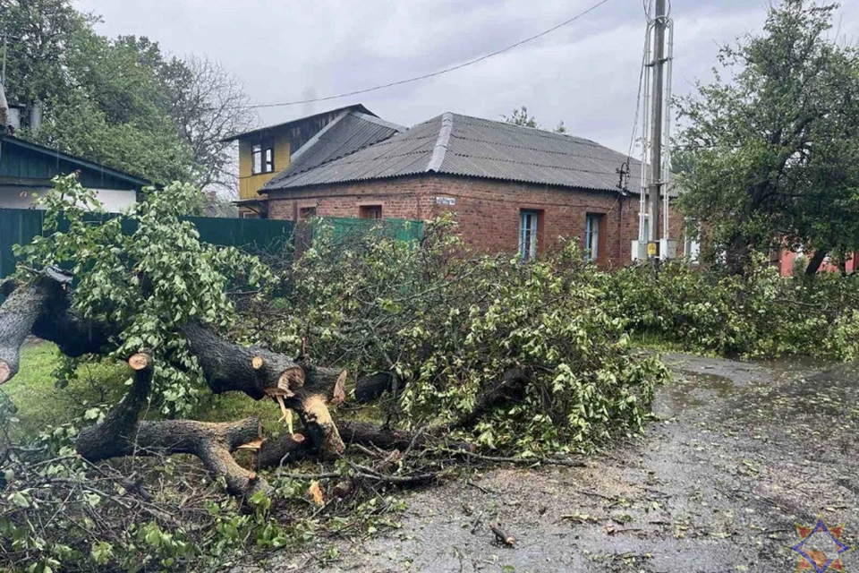 МЧС сообщило подробности непогоды в Гомельской области 3 июня. Фото: gomel.mchs.gov.by