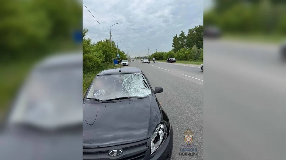 Фото: пресс-служба Госавтоинспекции по Омской области