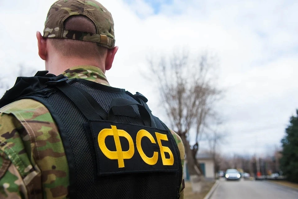 ФСБ задержала мужчину, пытавшегося поджечь госучреждение в Челябинской области