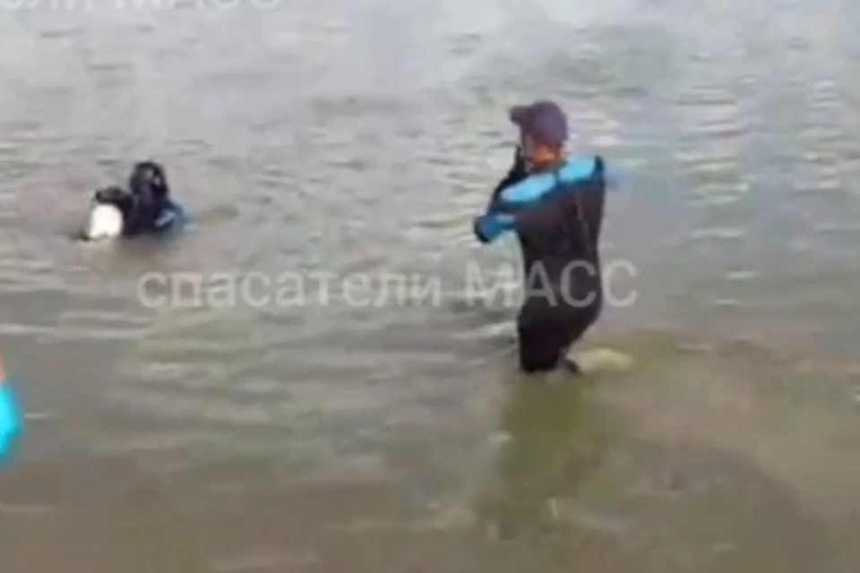 Водолазы вытащили подростка. Фото: скриншот МАСС
