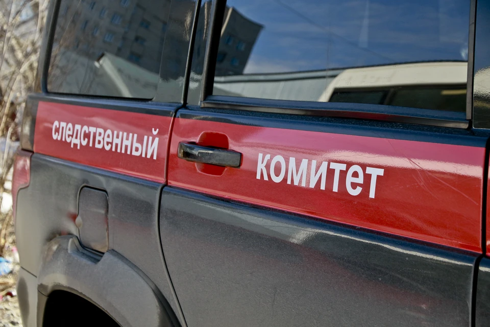 Следком проводит проверку по данному факту