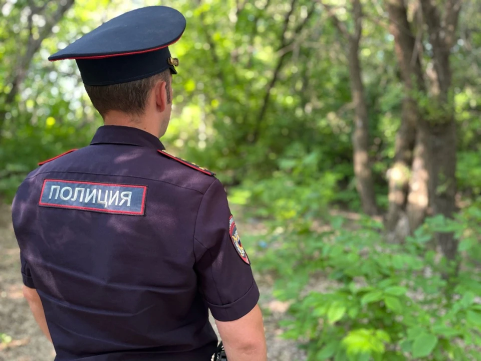 Мужчина с самого утра бродил по лесу.