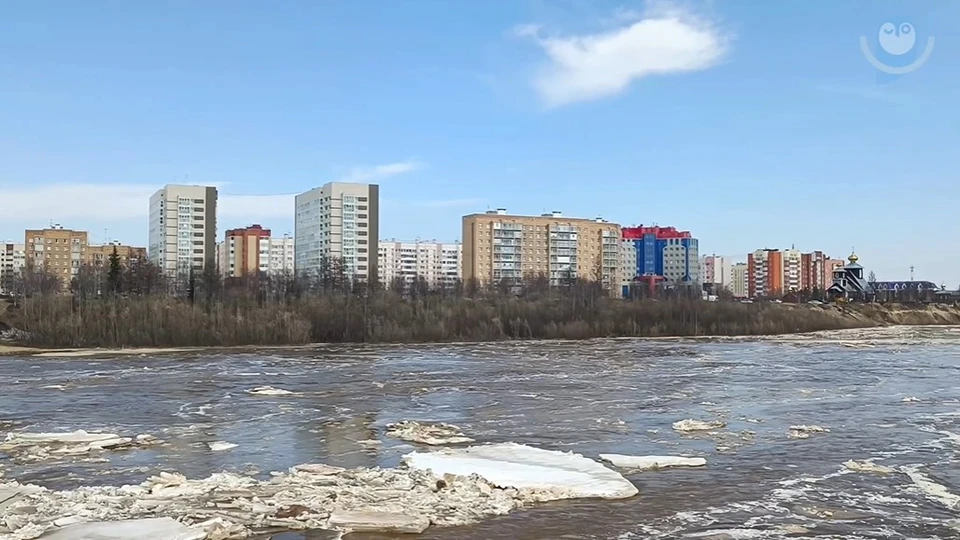 Скриншот из видео