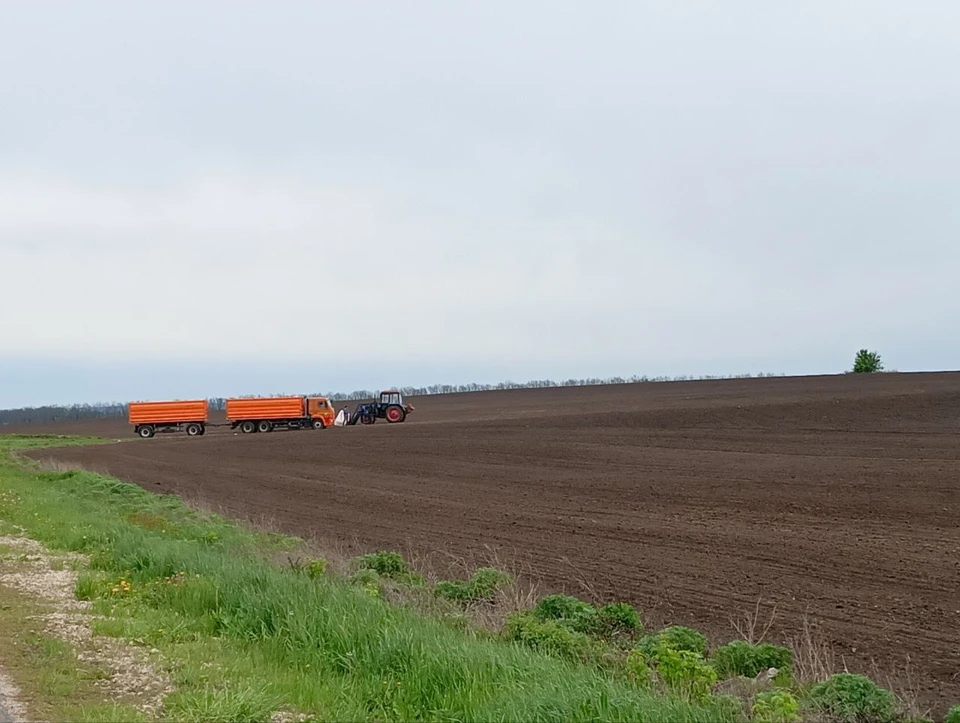 В 17 муниципальных образованиях области вскрыты факты невовлечения в сельскохозяйственную деятельность 198 земельных участков.