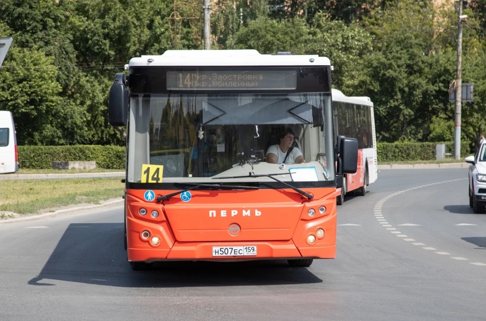 На маршрут №14 выпустят автобусы-"гармошки"
