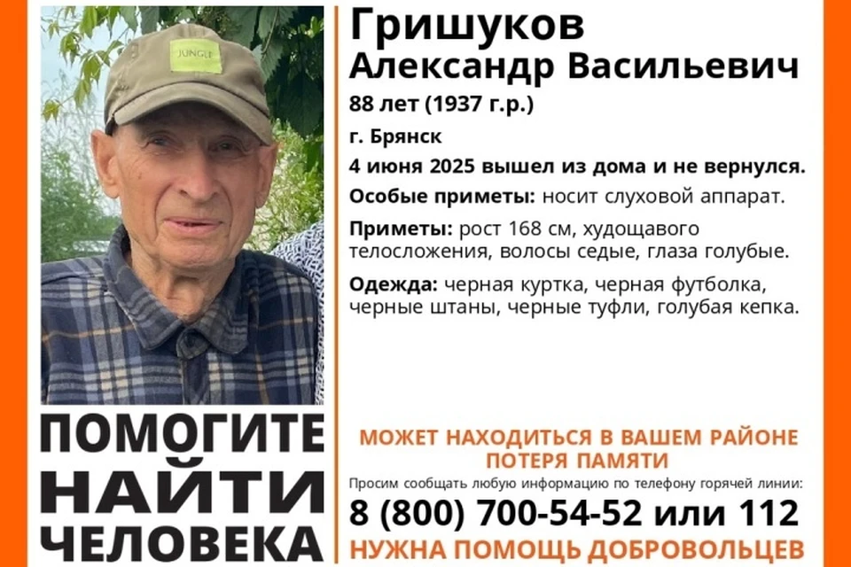 Фото: поисковый отряд "Лиза Алерт", ВКонтакте.