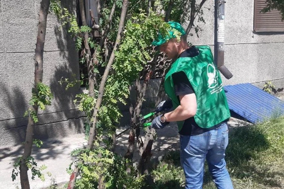 В центре Иркутска провели санитарную обрезку деревьев. Фото: администрация города Иркутска