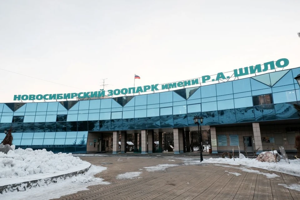 Экологический фестиваль «Экомир» пройдет 7 июня — вход свободный для участников акции «Снимаю шляпу»