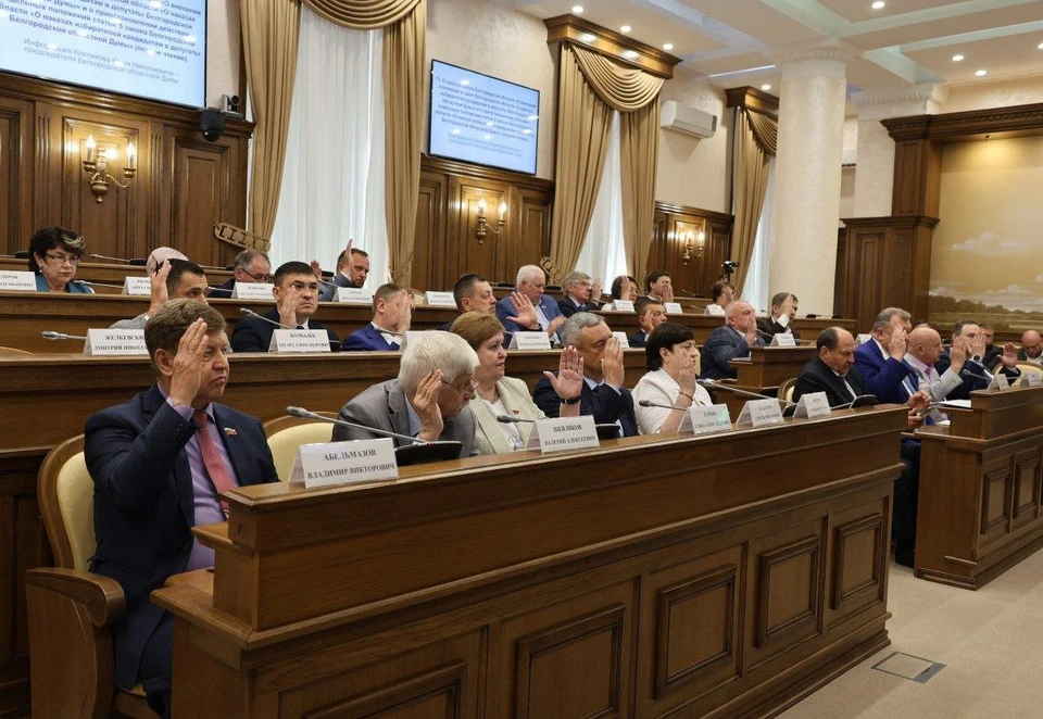 Фото — архив пресс-службы Белгородской облдумы.