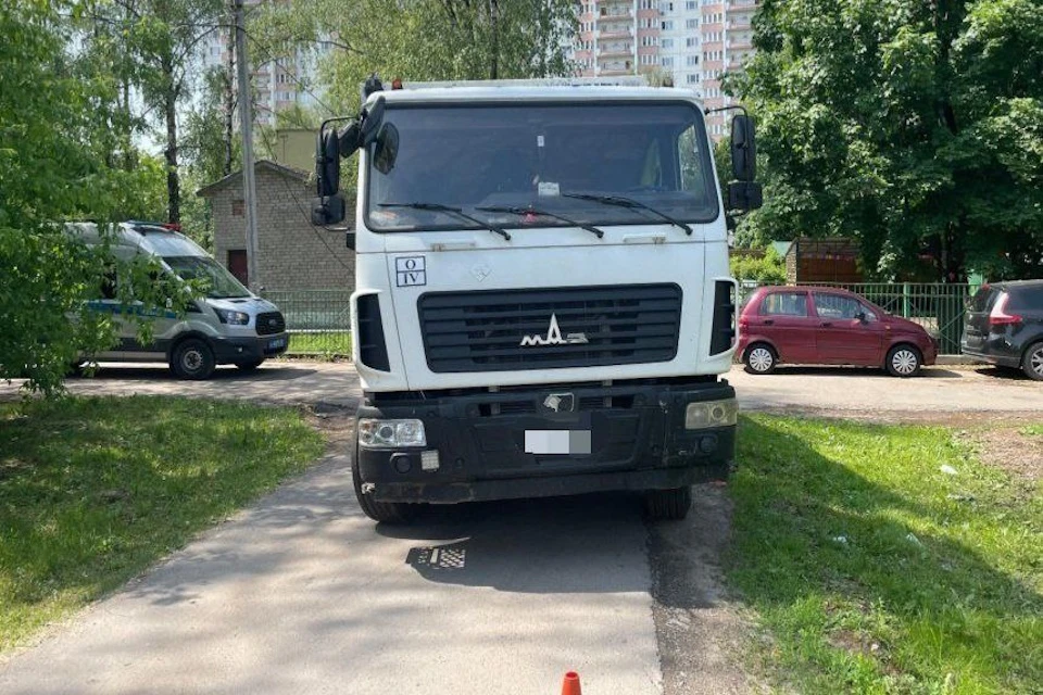 Фото: ГУ МВД России по Московской области