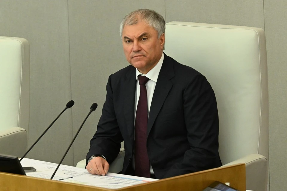 Володин: Принят закон, защищающий детей от мошенников и преступных схем