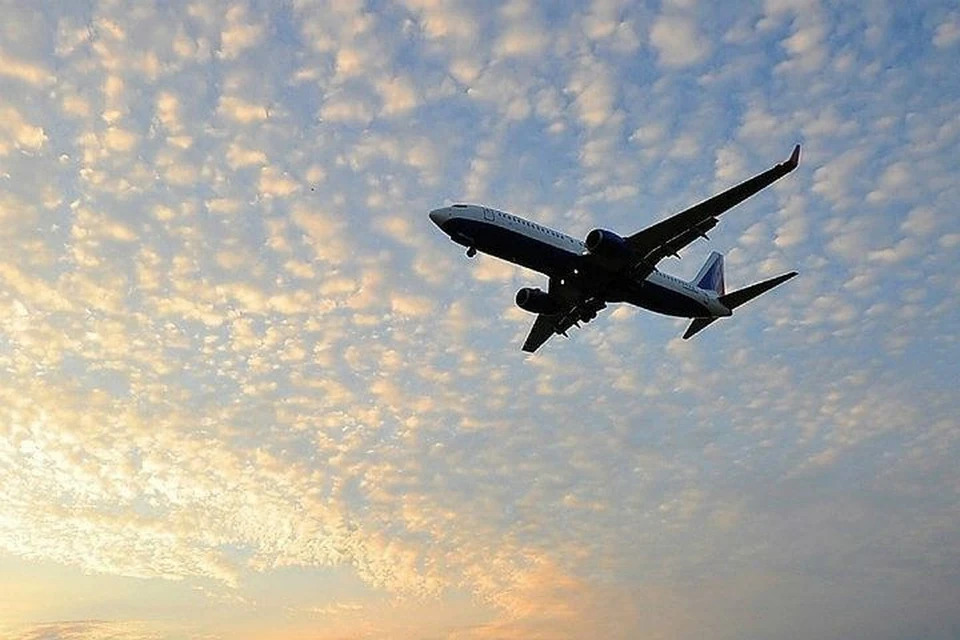 Крупная авиакомпания увеличивает число рейсов из Хабаровска в Новосибирск