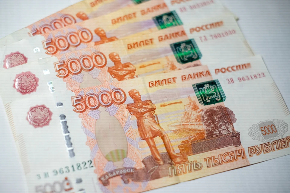 Из общей суммы 8,6 миллиарда рублей направлены в виде субсидий.