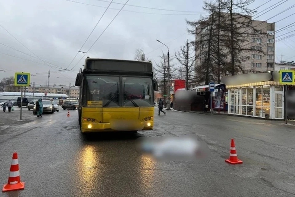 Женщина признала вину. Фото: Госавтоинспекция Удмуртии