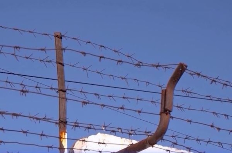 Министр юстиции Вероника Михайлов-Морару представила итоги внутреннего расследования. Фото: скриншот видео