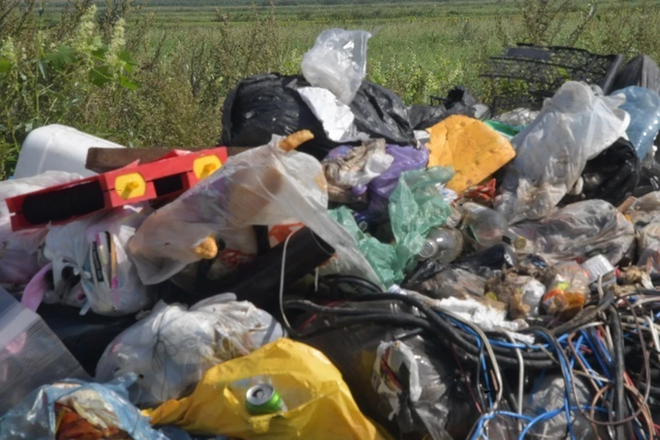 В природном парке Хабаровска нашли свалки мусора