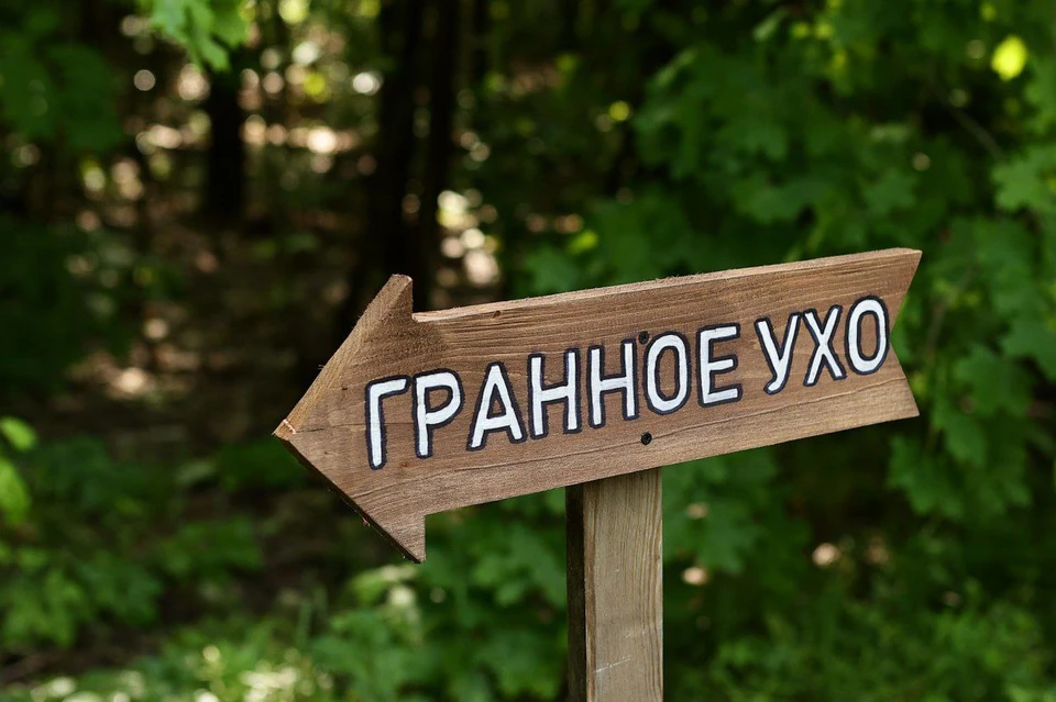 Фото: Пул73
