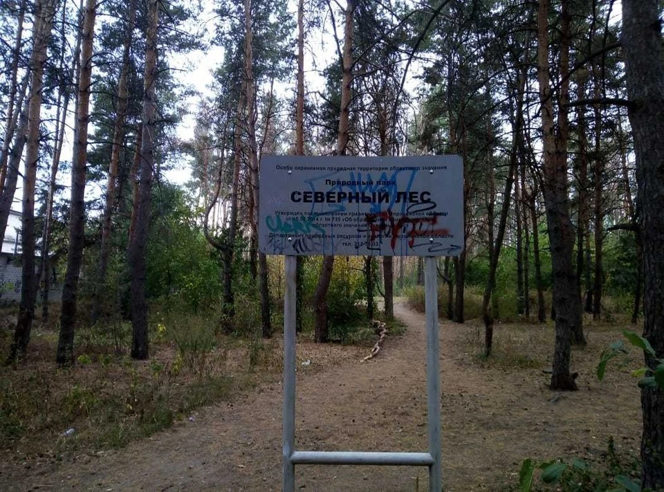 В «РВК-Воронеж» утверждают, что аварию, приведшую к образованию канализационного ручья в Северном лесу, устранили.