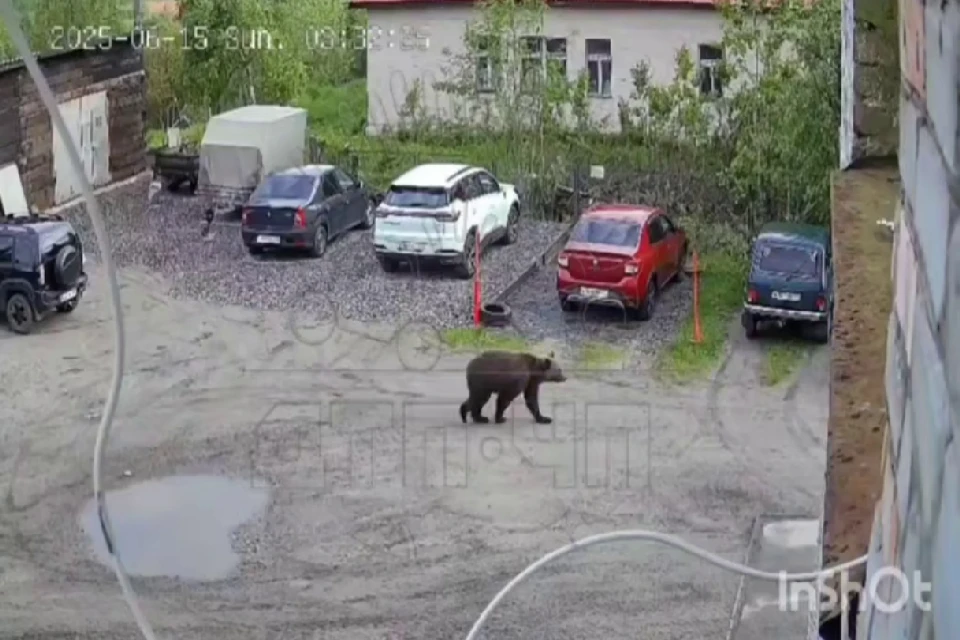 Фото: t.me/murmansk_chp