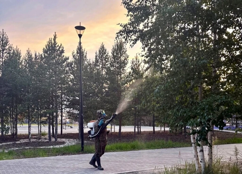 Фото: администрация Муравленко