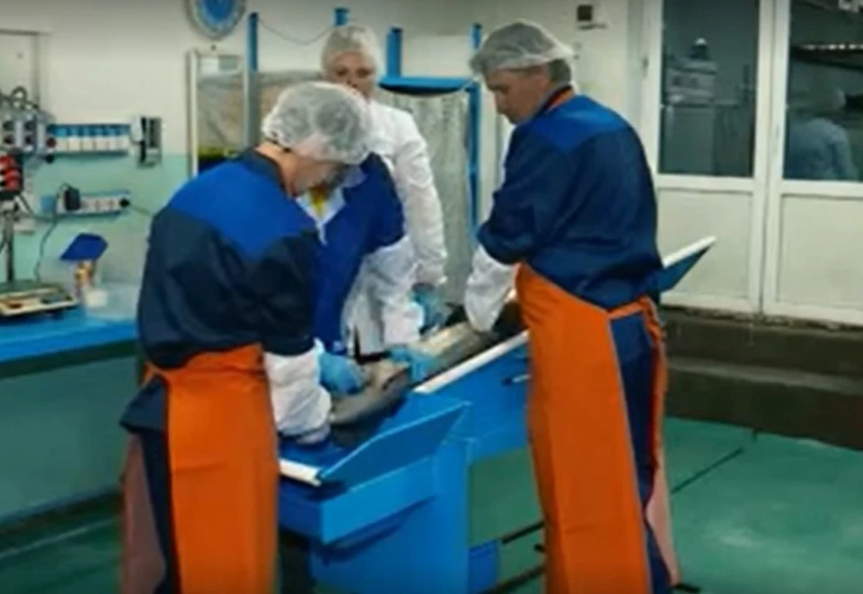 Рыбное хозяйство в Костромской области выпускает более 7 тонн черной икры в год
