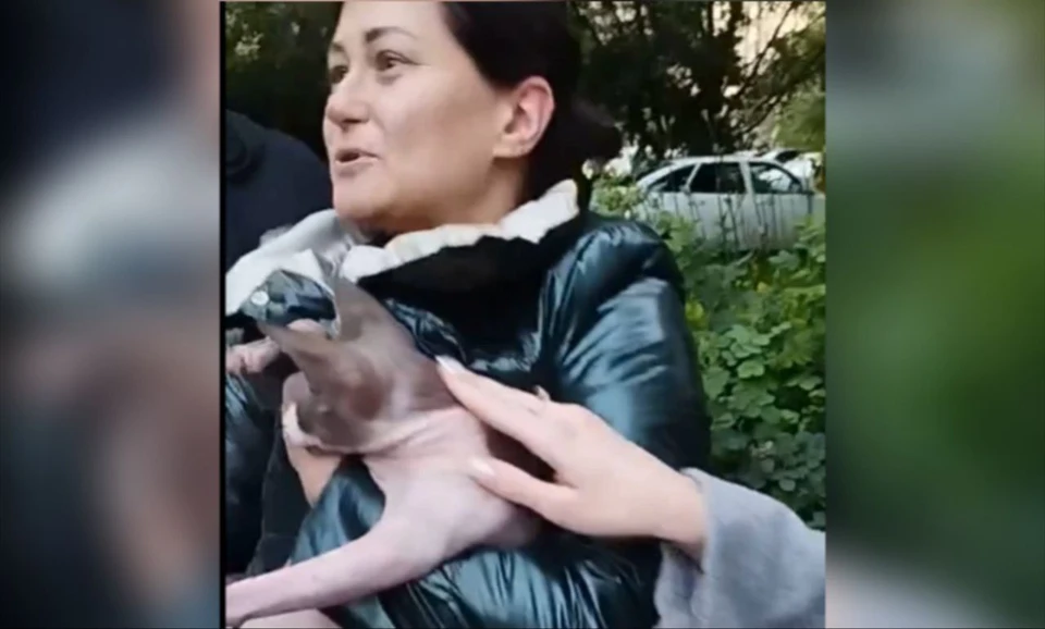 Кадры после освобождения сфинкса Фото: скриншот видео Виталии Румянцевой