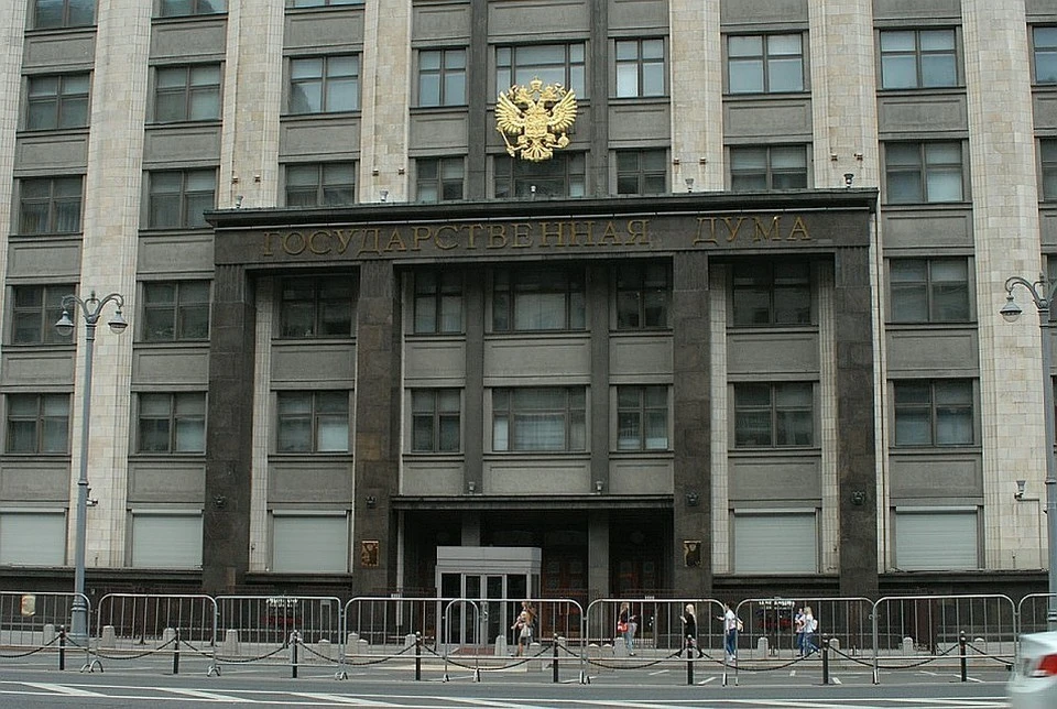 ГД приняла закон о введении до шести лет лишения свободы для дропперов