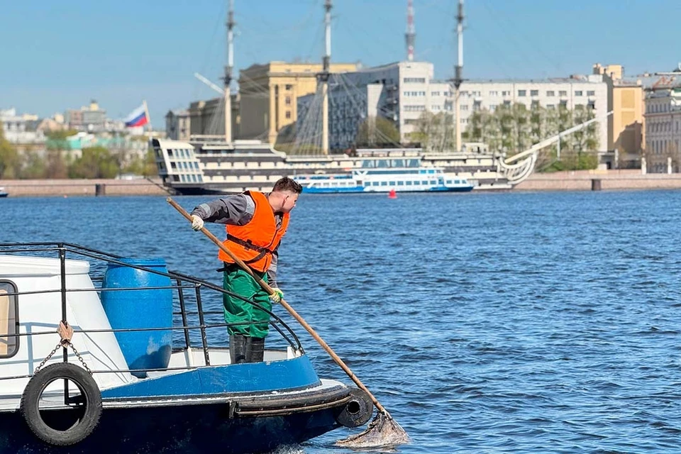 Горожан призвали бережнее относиться к природе! Фото: vk.com/spb_ecostroy