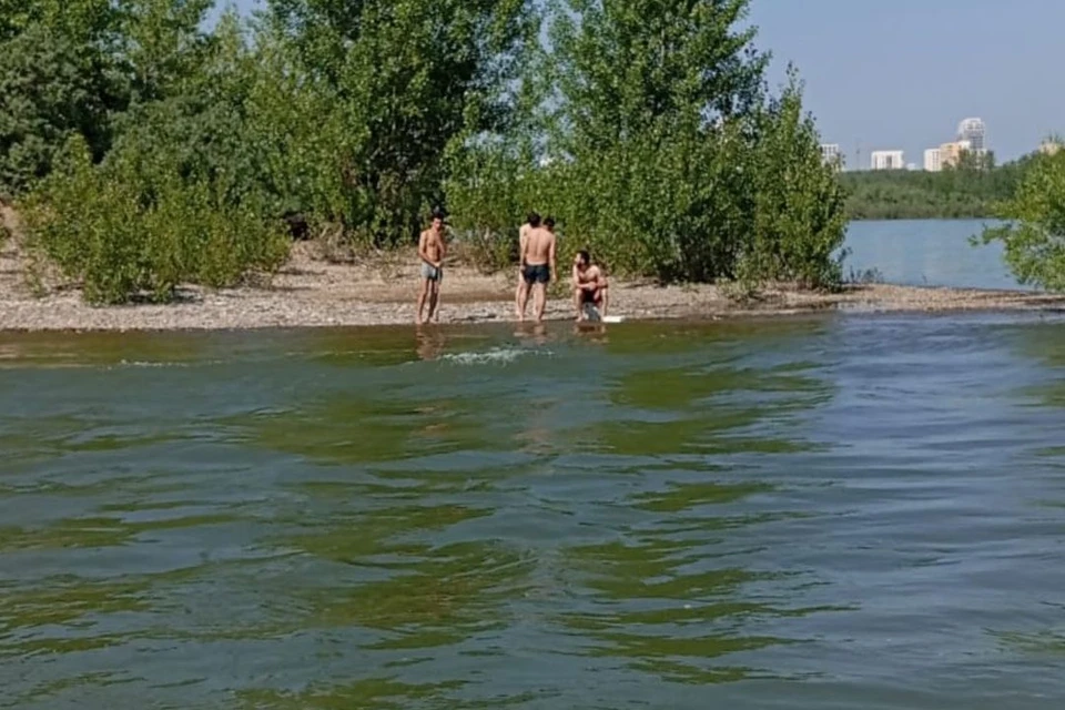 Парни уплыли на остров, а обратно вернуться не смогли. Фото: МАСС