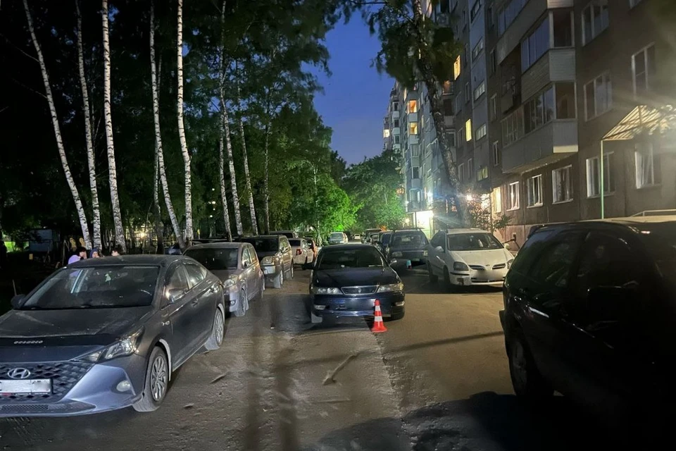Фото: пресс-служба ГАИ Новосибирской области