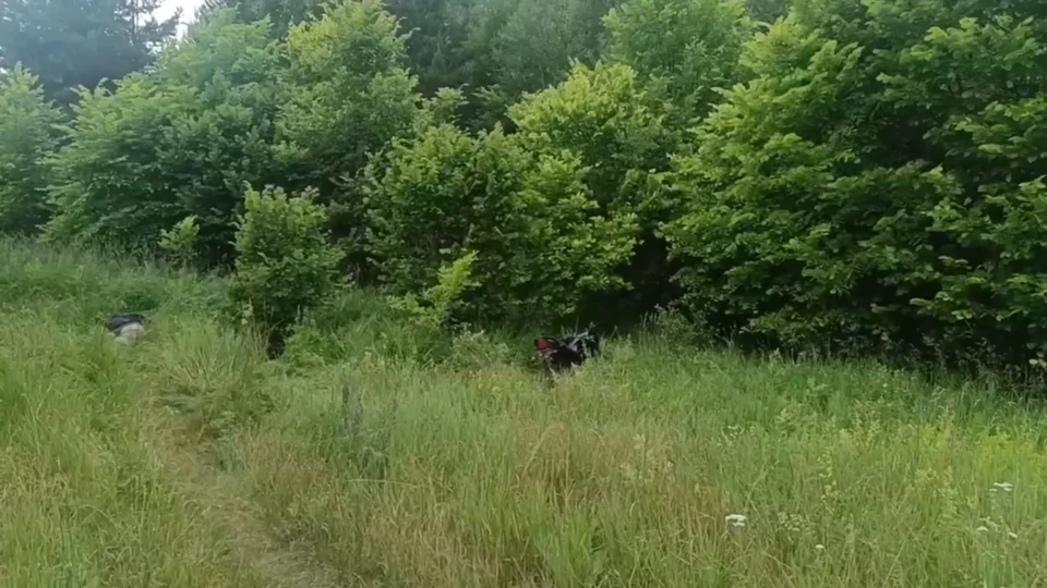 Мотоциклист погиб в лесном массиве в Нижегородской области.