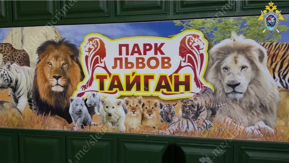 По факту нападения идет проверка. Фото: Видео sledcomcrimea