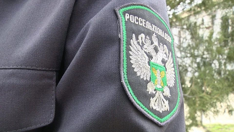 Арендатору предписано уничтожить карантинные очаги
