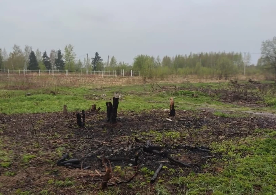 Фото: Прокуратура Владимирской области