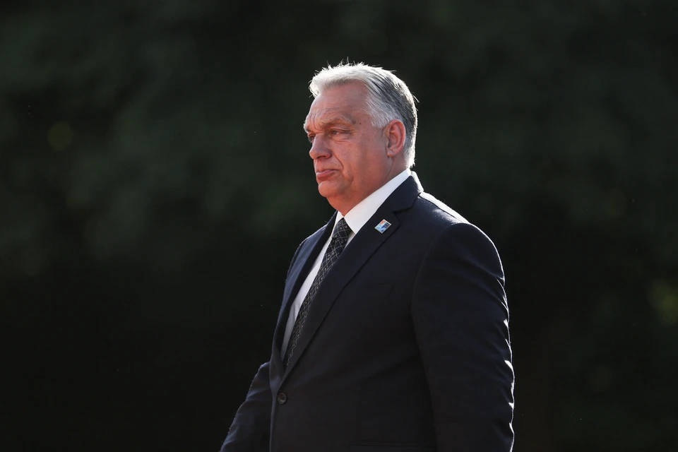 В Венгрии назвали вескую причину, почему НАТО нечего делать на Украине