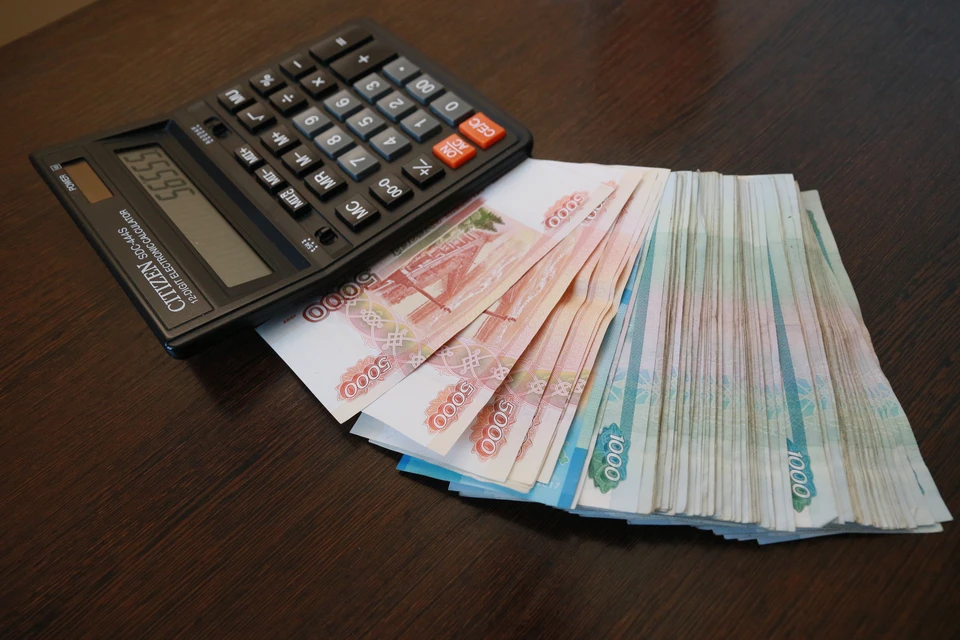 В регионе реализуют различные меры поддержки многодетных семей