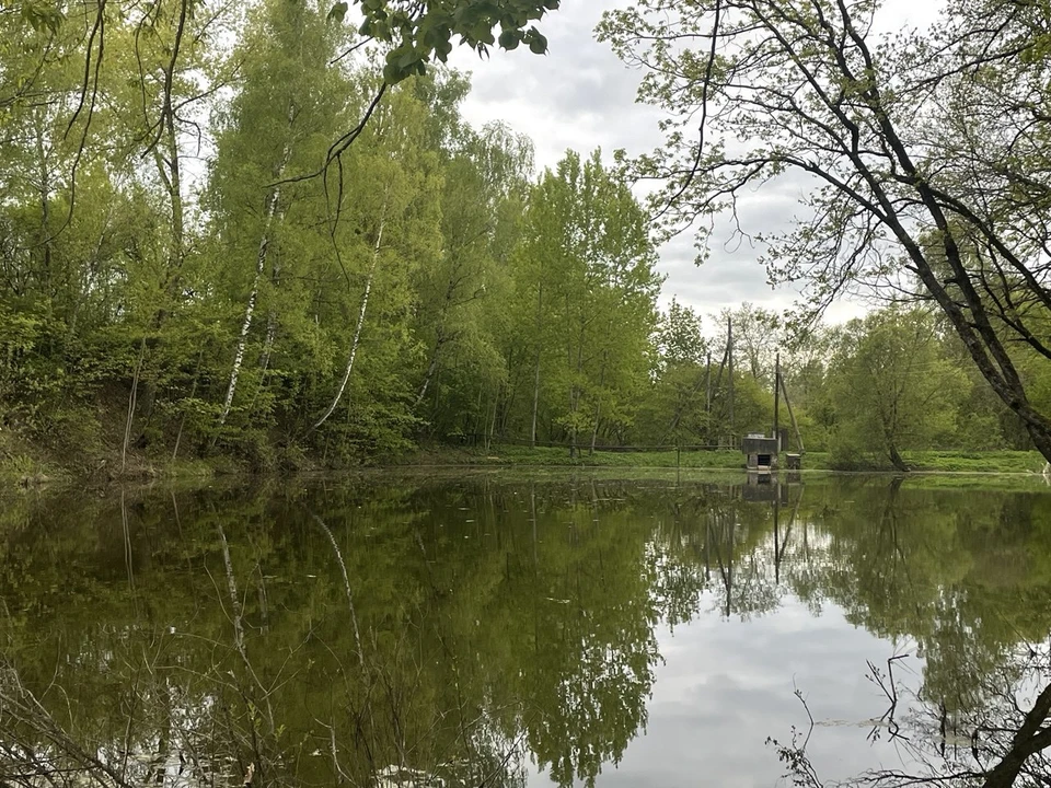 В Смоленске ни один водоем не прошел проверку - купаться в городской черте запрещено.