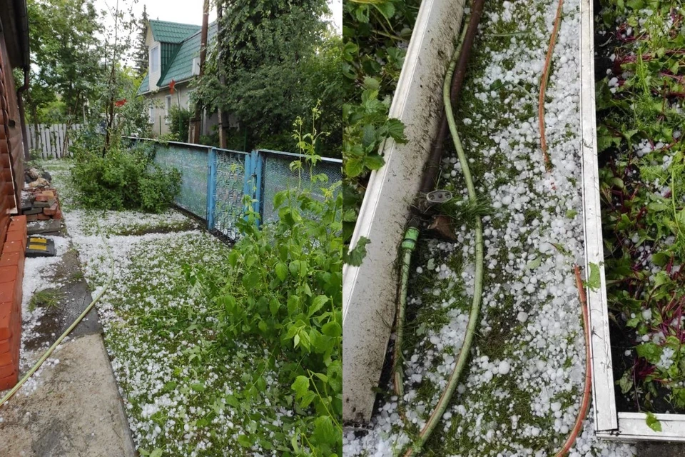 Садоводы в районе Геодезической лишились рассады из-за природной стихии. Фото: предоставлено очевидцами.