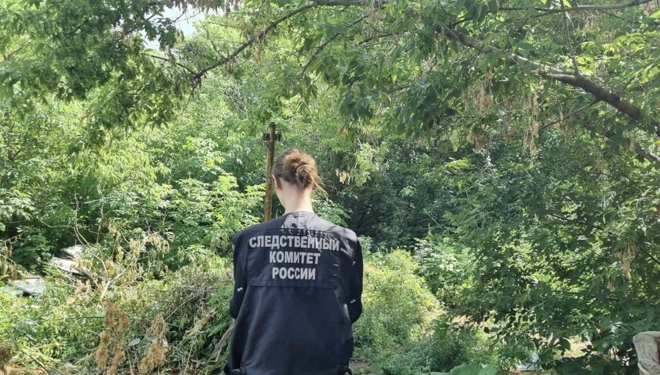 Фото: СК РФ по Саратовской области