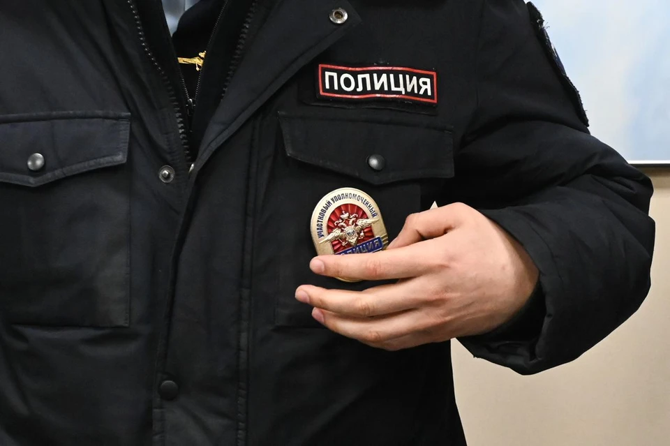 Фото: пресс-служба правительства Московской области.
